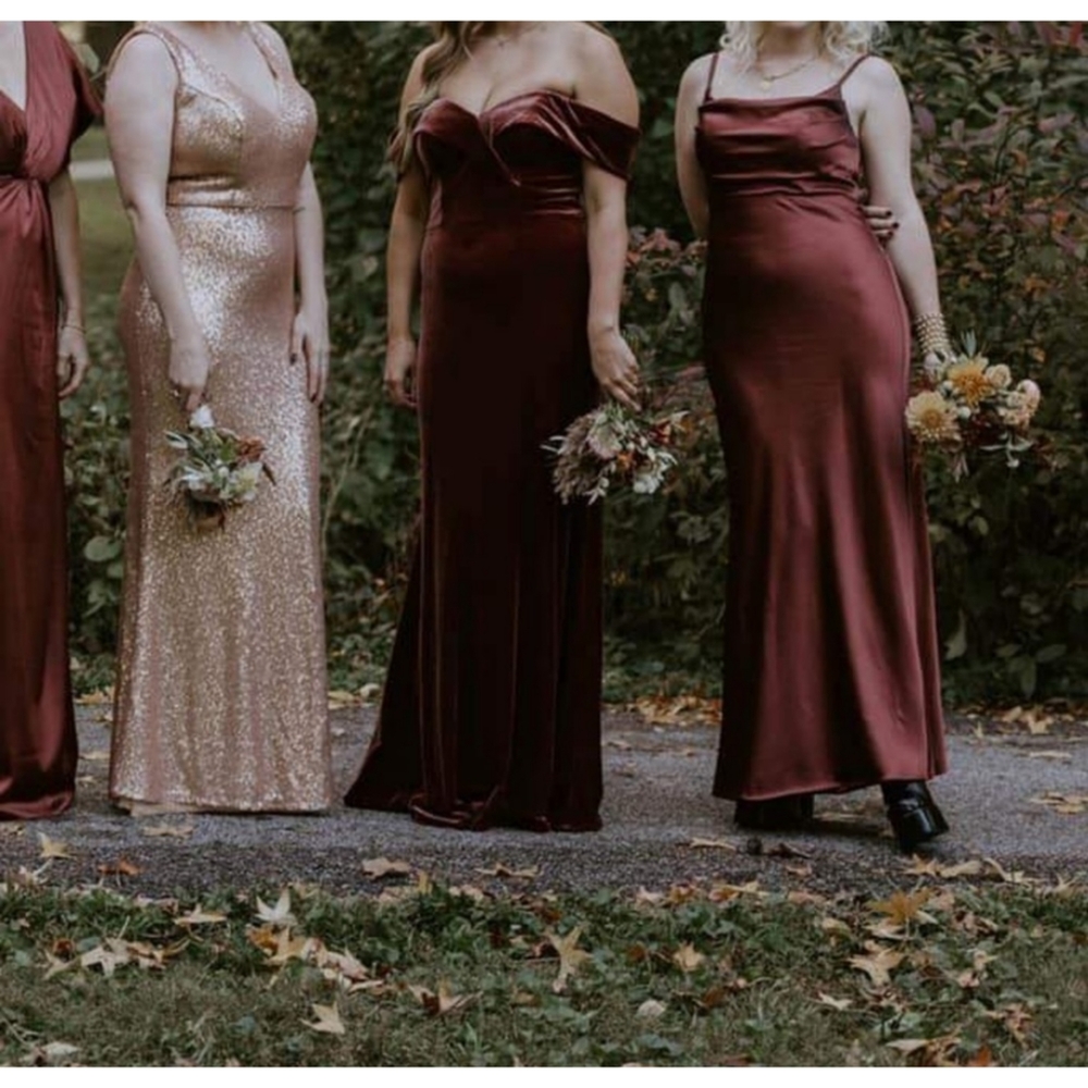 Revelry Burgundy Velvet Maxi Dress in Terracotta Size 4
